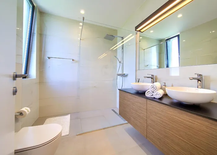 Olive Garden With Heated Pool And Sauna Villa Kornić
